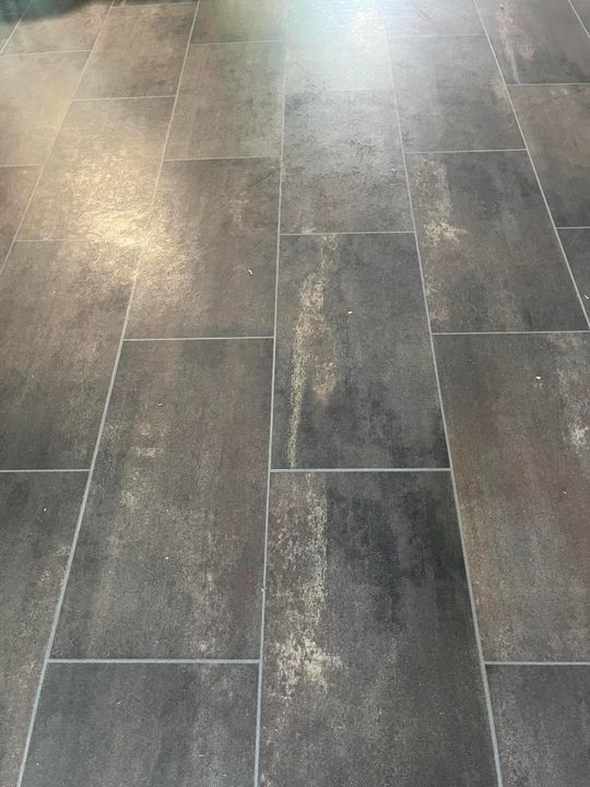 待售: $88,500 (2 贝兹, 2 浴室, 1006 平方英尺)