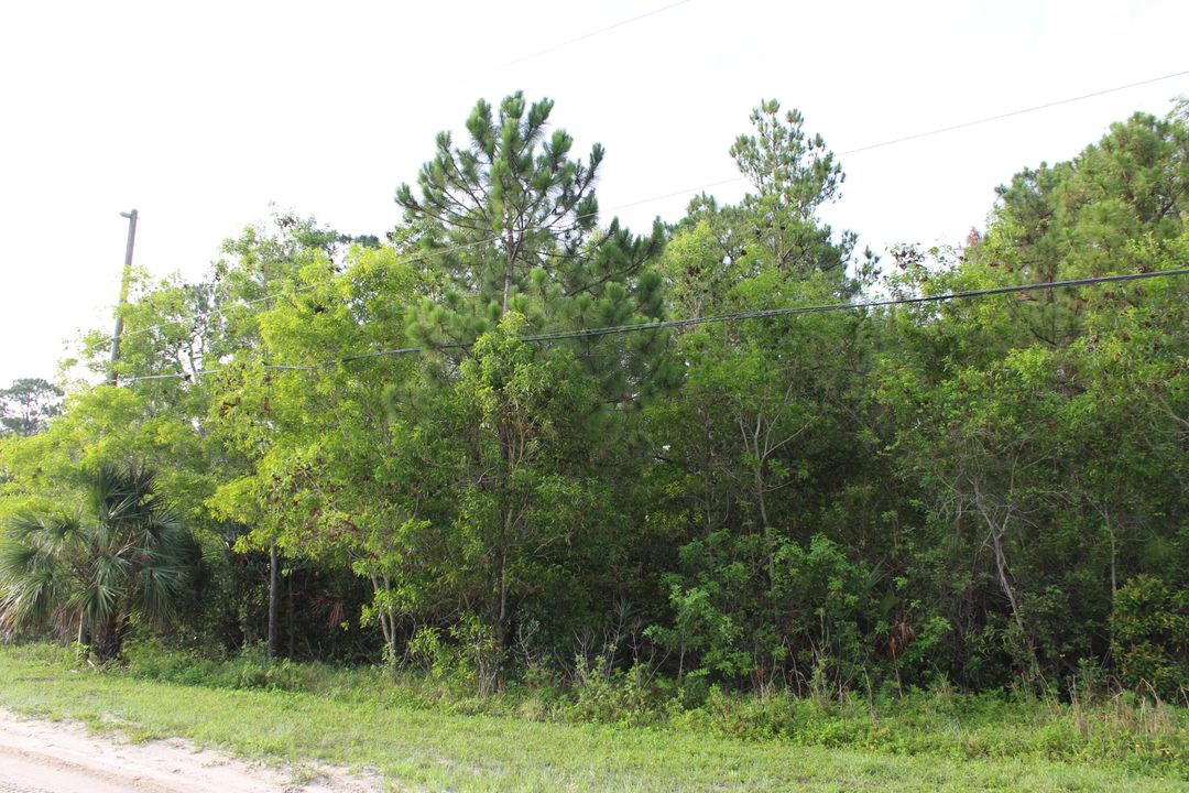 For Sale: $274,900 (0 beds, 0 baths, 0 Square Feet)