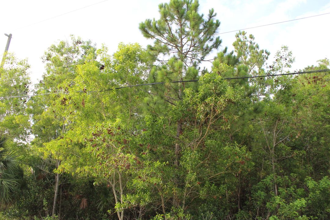 For Sale: $274,900 (0 beds, 0 baths, 0 Square Feet)