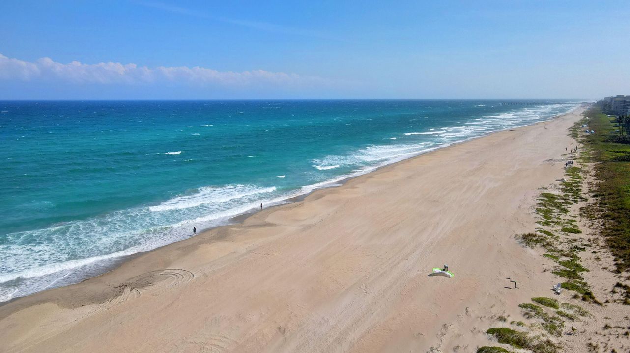 Activo con contrato: $3,000 (1 camas, 1 baños, 788 Pies cuadrados)