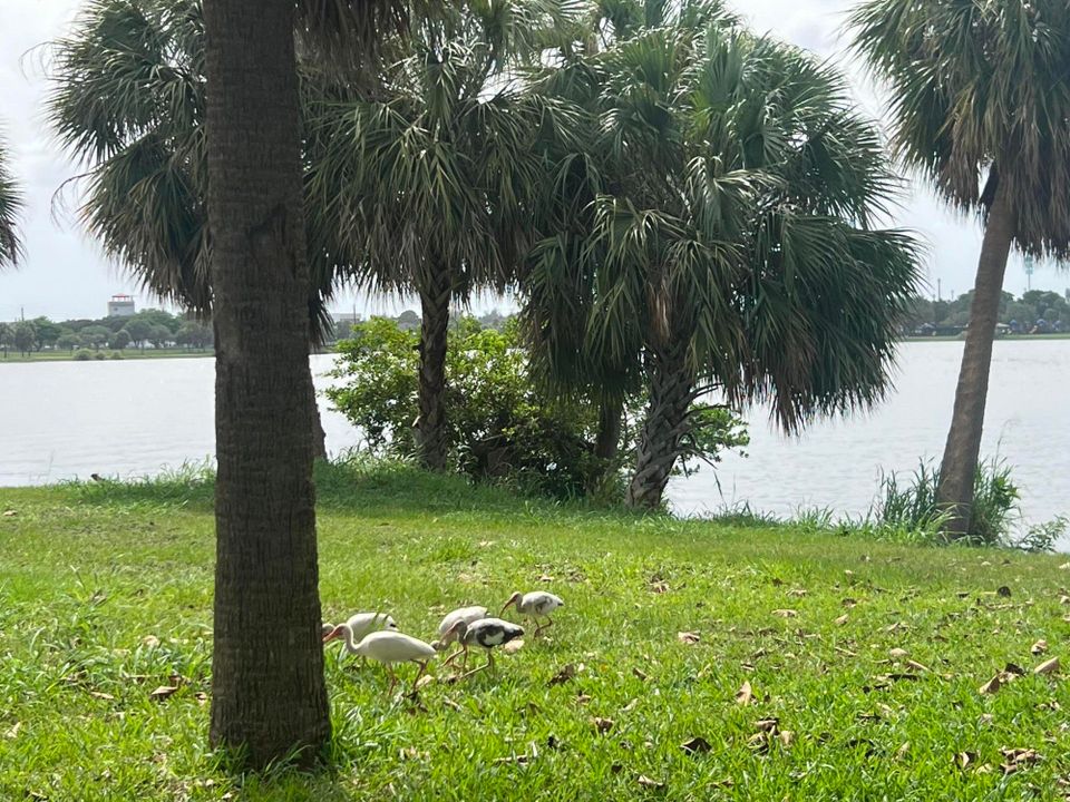 На продажу: $159,900 (1 спален, 1 ванн, 772 Квадратных фут)