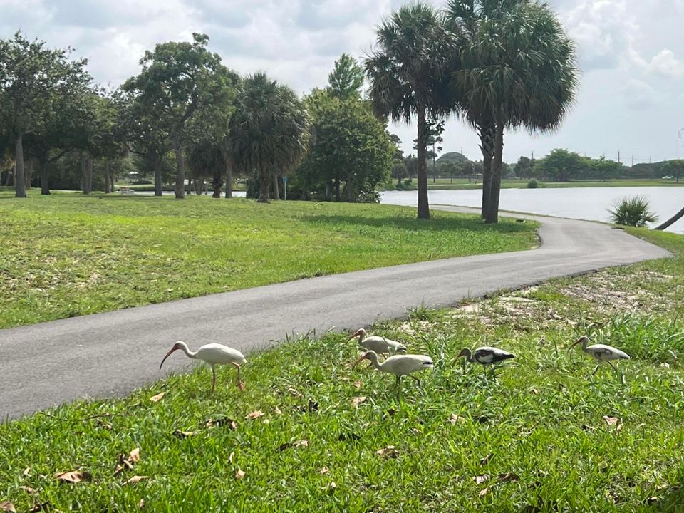 На продажу: $159,900 (1 спален, 1 ванн, 772 Квадратных фут)