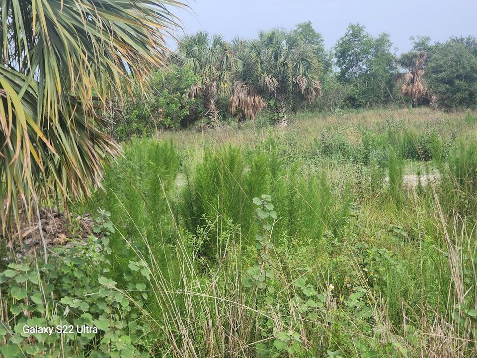 Active With Contract: $595,000 (0 beds, 0 baths, 0 Square Feet)