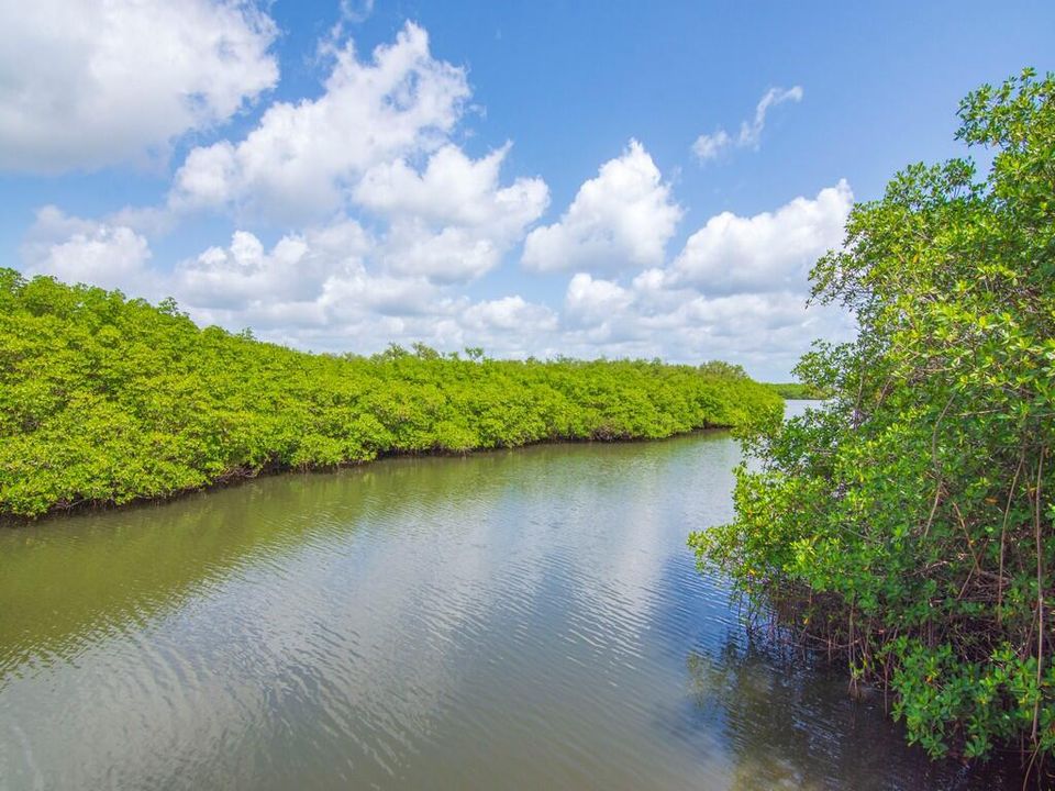 出租: $4,500 (3 贝兹, 3 浴室, 1355 平方英尺)