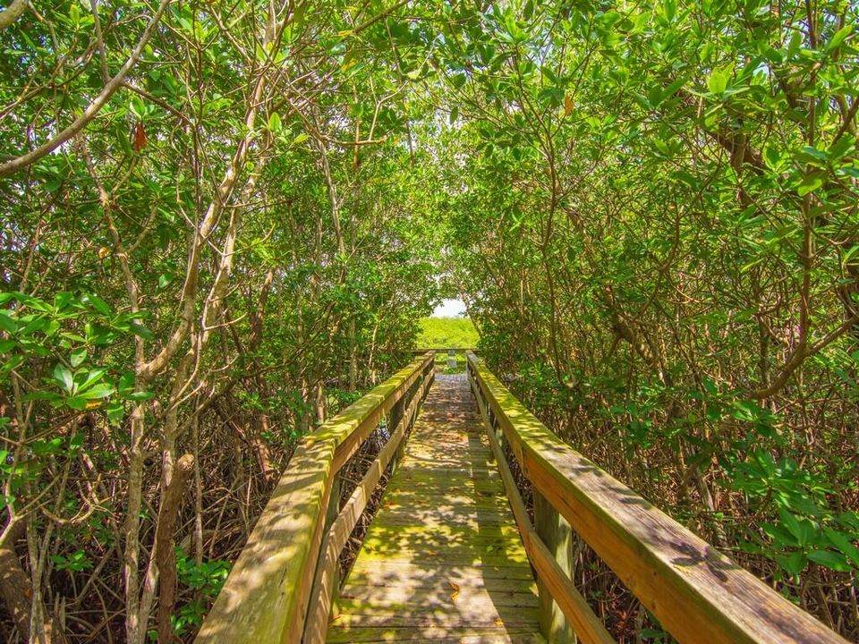 出租: $4,500 (3 贝兹, 3 浴室, 1355 平方英尺)