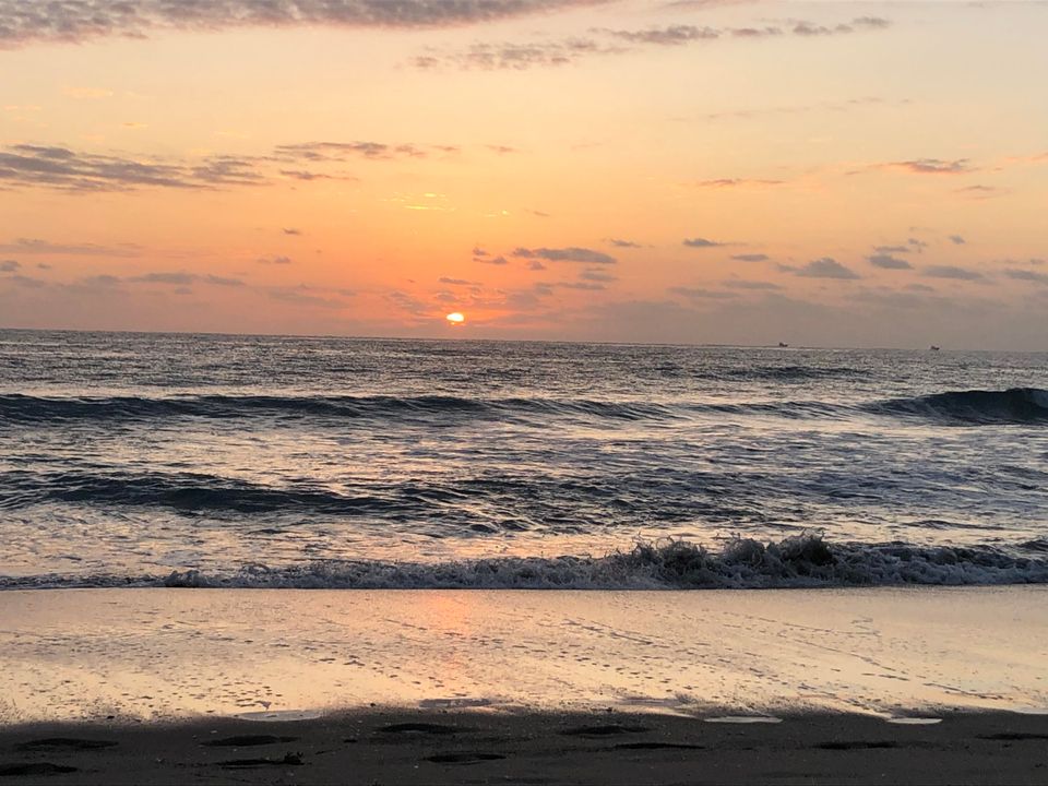 Active With Contract: $4,200 (2 beds, 2 baths, 958 Square Feet)