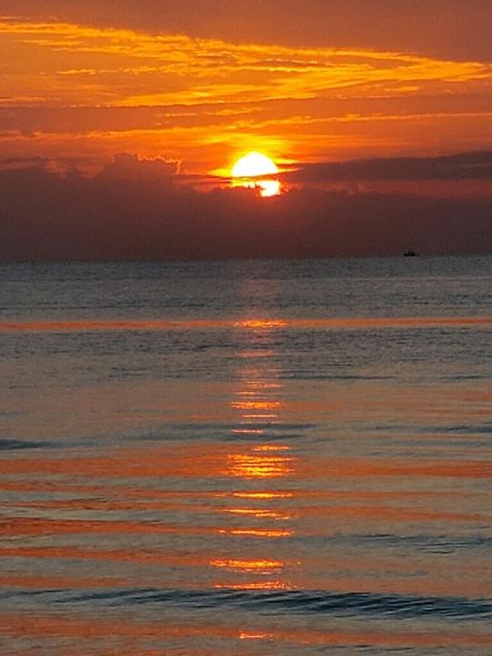 Active With Contract: $4,200 (2 beds, 2 baths, 958 Square Feet)