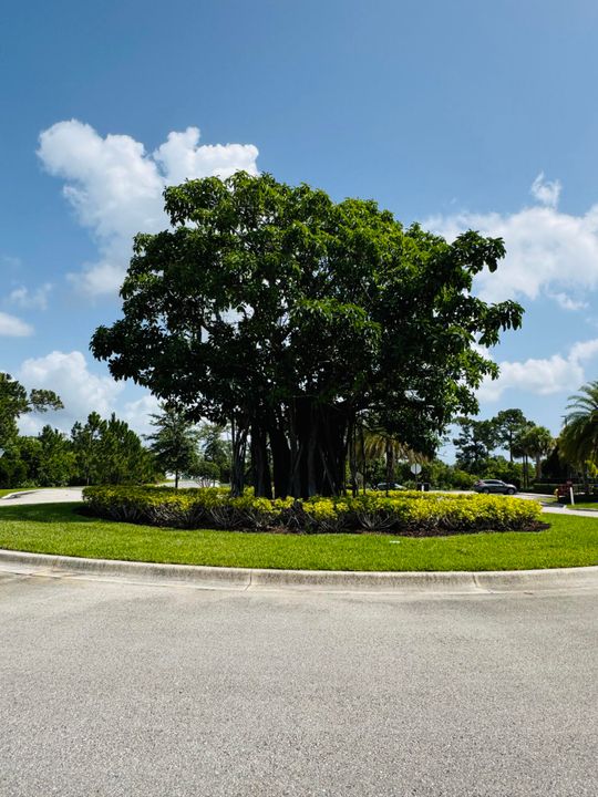 На продажу: $720,000 (5 спален, 3 ванн, 2988 Квадратных фут)