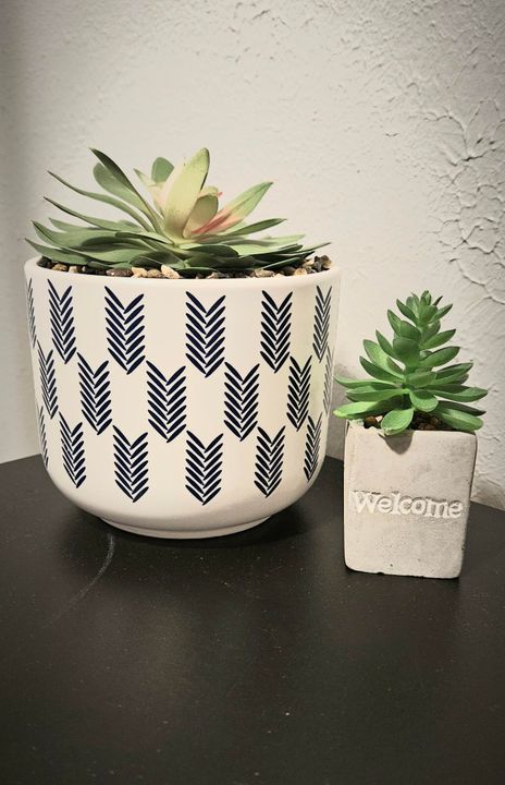 出租: $900 (1 贝兹, 1 浴室, 400 平方英尺)