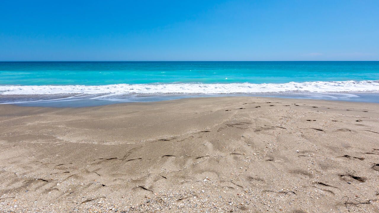 待售: $300,000 (2 贝兹, 2 浴室, 1090 平方英尺)