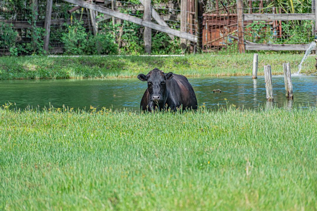For Sale: $799,000 (3 beds, 2 baths, 1569 Square Feet)