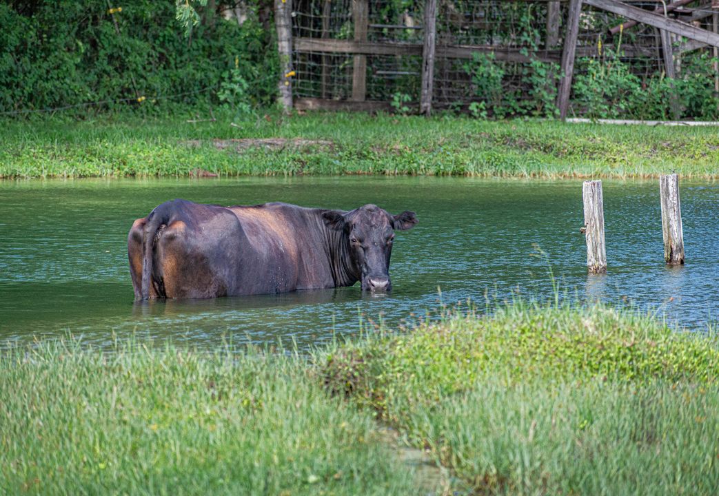 For Sale: $799,000 (3 beds, 2 baths, 1569 Square Feet)