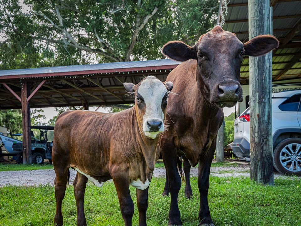 For Sale: $799,000 (3 beds, 2 baths, 1569 Square Feet)