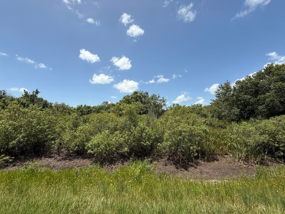 Activo con contrato: $19,900 (0 camas, 0 baños, 0 Pies cuadrados)