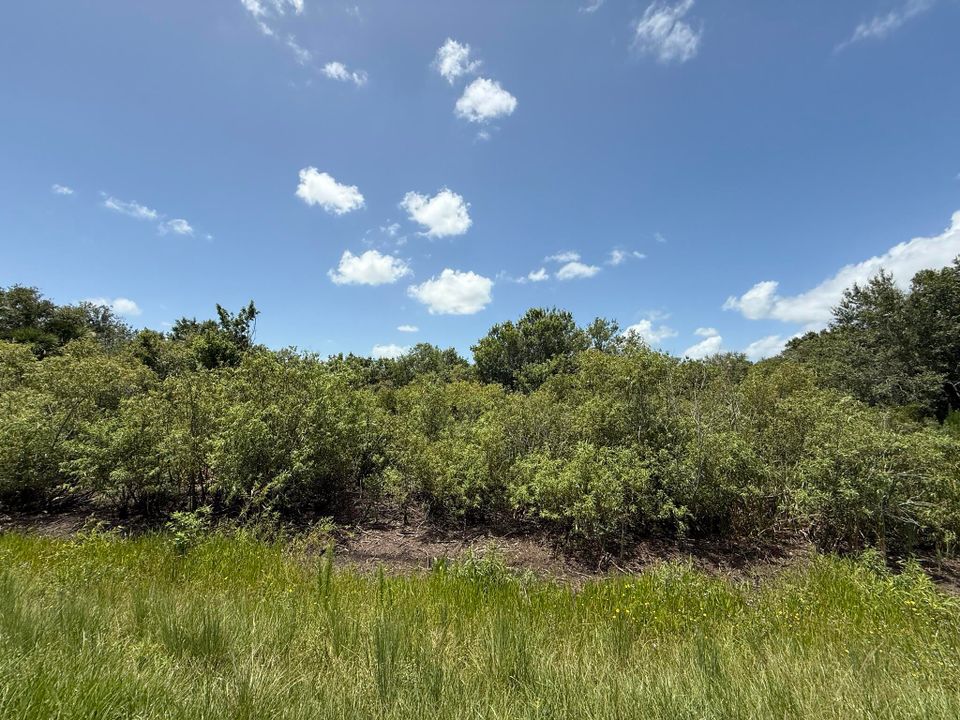 Activo con contrato: $19,900 (0 camas, 0 baños, 0 Pies cuadrados)