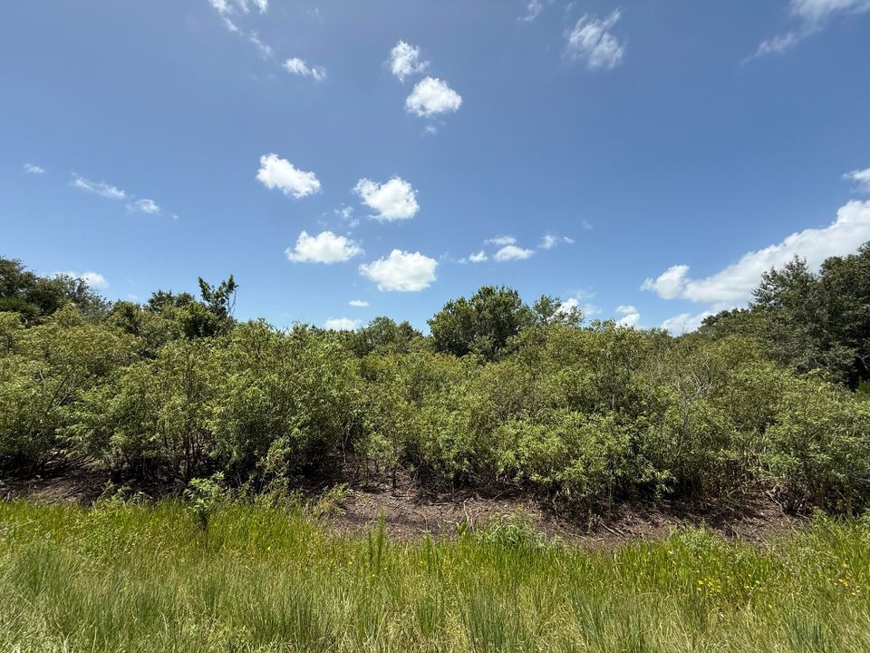 Activo con contrato: $19,900 (0 camas, 0 baños, 0 Pies cuadrados)