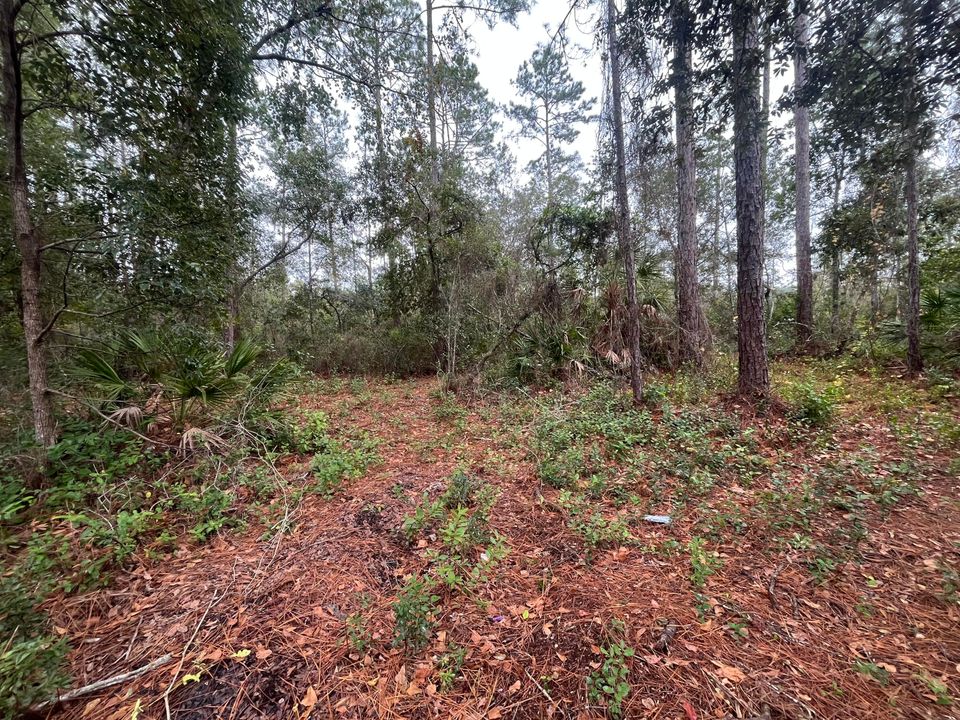 待售: $38,800 (0 贝兹, 0 浴室, 0 平方英尺)