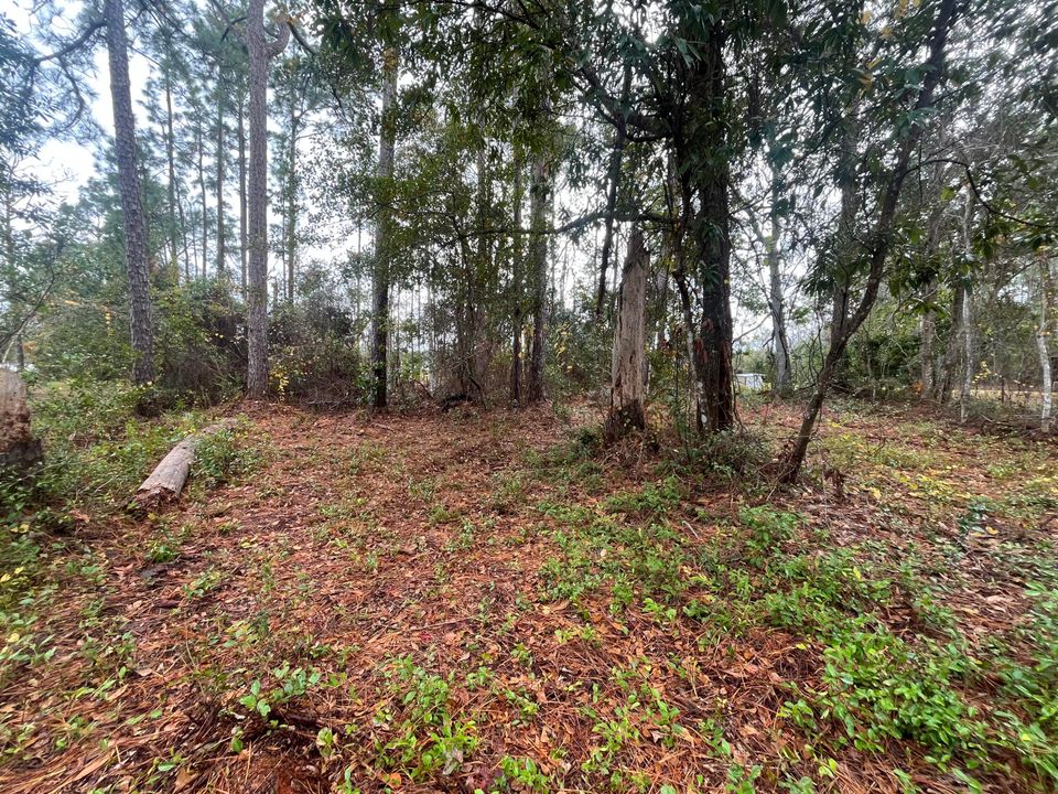 待售: $38,800 (0 贝兹, 0 浴室, 0 平方英尺)