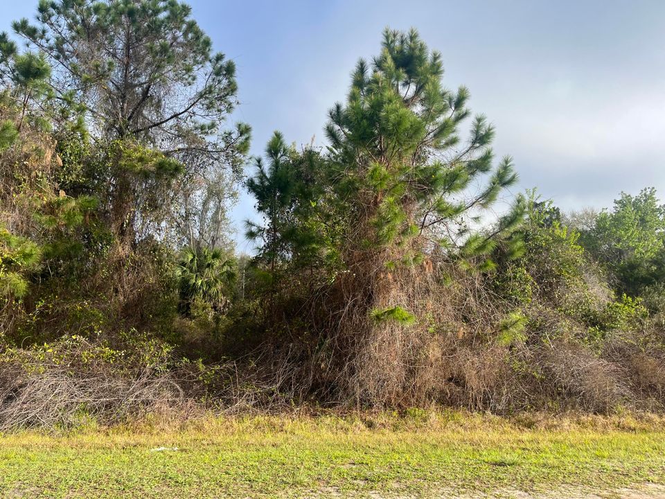 For Sale: $10,400 (0 beds, 0 baths, 0 Square Feet)