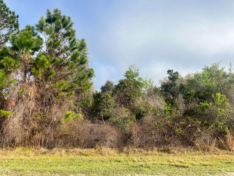 For Sale: $10,400 (0 beds, 0 baths, 0 Square Feet)