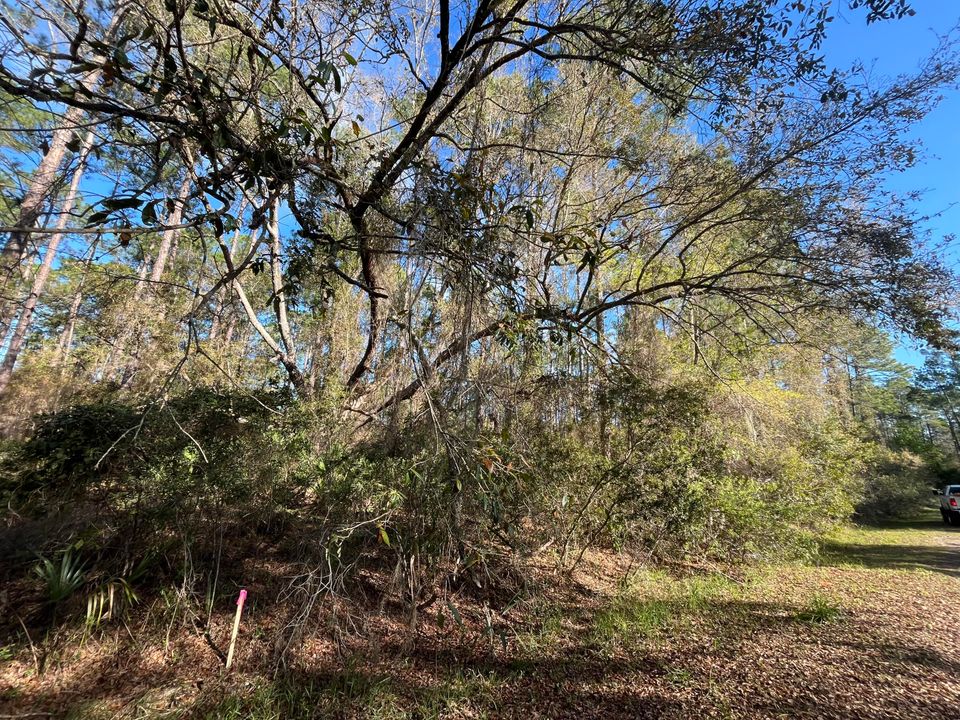 For Sale: $11,100 (0 beds, 0 baths, 0 Square Feet)