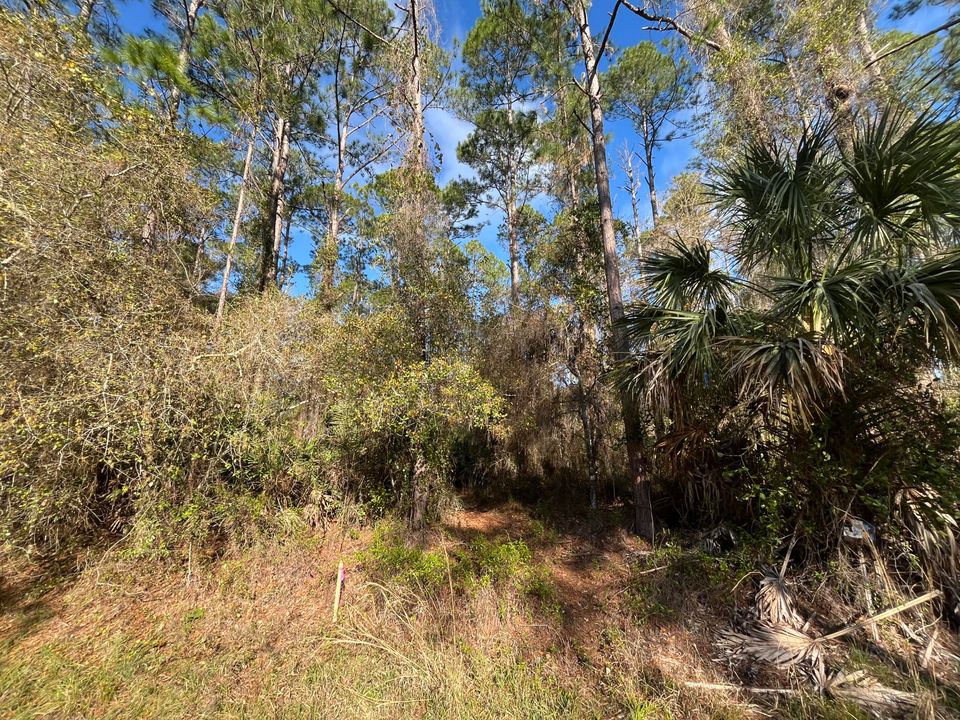 For Sale: $11,100 (0 beds, 0 baths, 0 Square Feet)