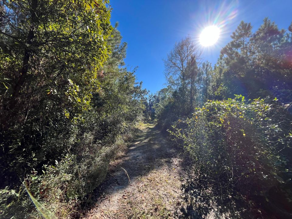 待售: $6,800 (0 贝兹, 0 浴室, 0 平方英尺)