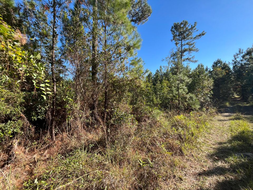 待售: $6,800 (0 贝兹, 0 浴室, 0 平方英尺)