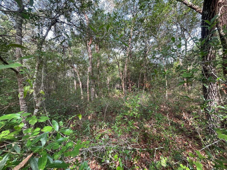 For Sale: $15,800 (0 beds, 0 baths, 0 Square Feet)