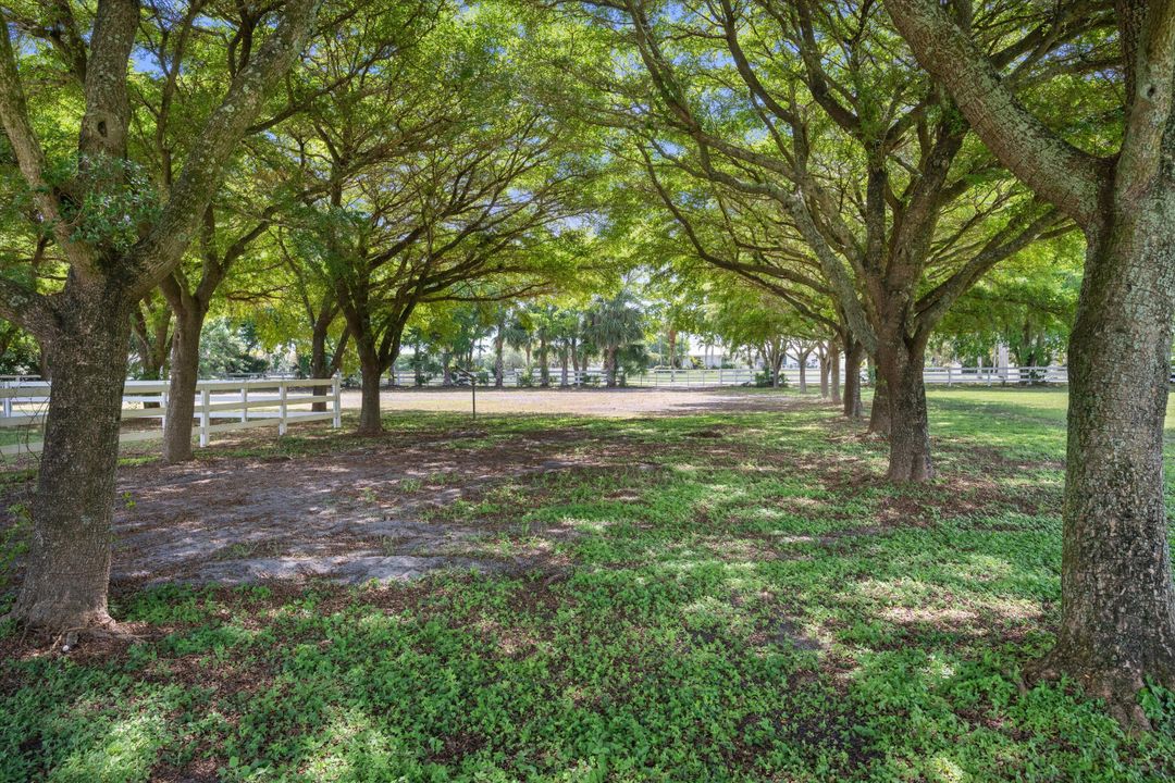 На продажу: $4,995,000 (8 спален, 7 ванн, 5886 Квадратных фут)