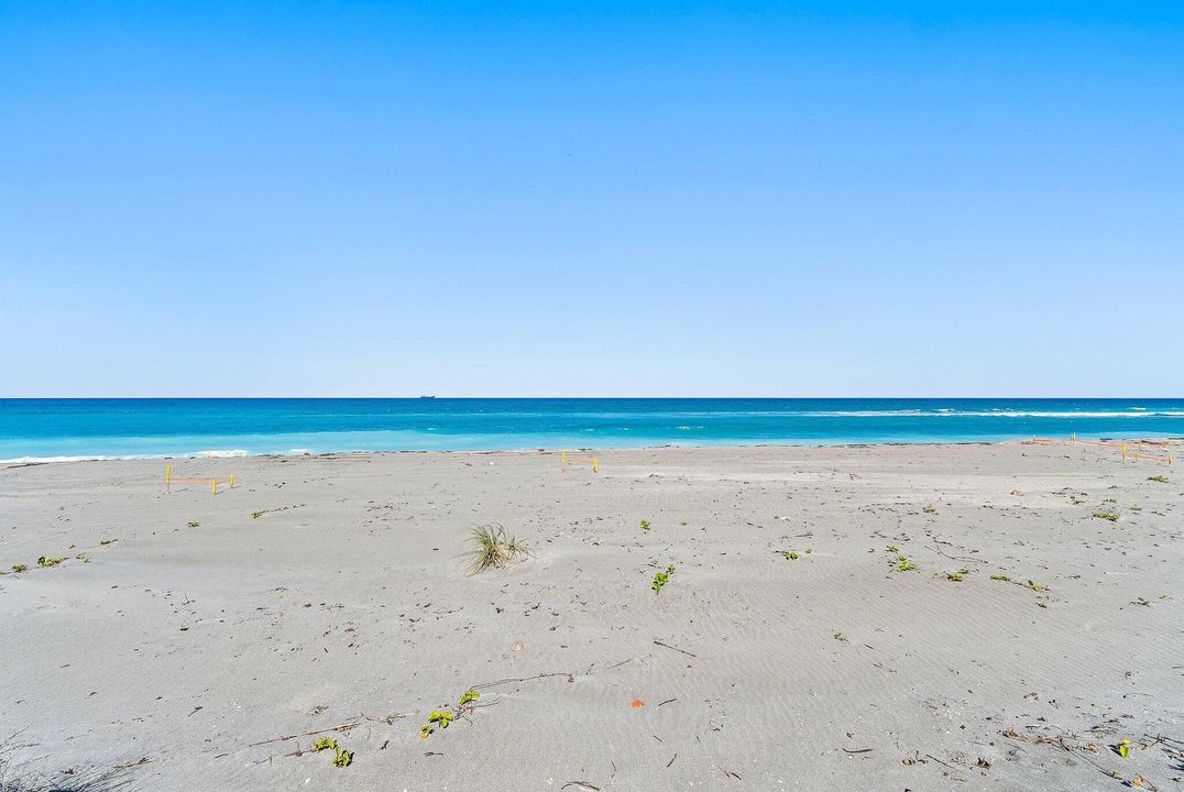 待售: $23,000,000 (6 贝兹, 6 浴室, 8020 平方英尺)