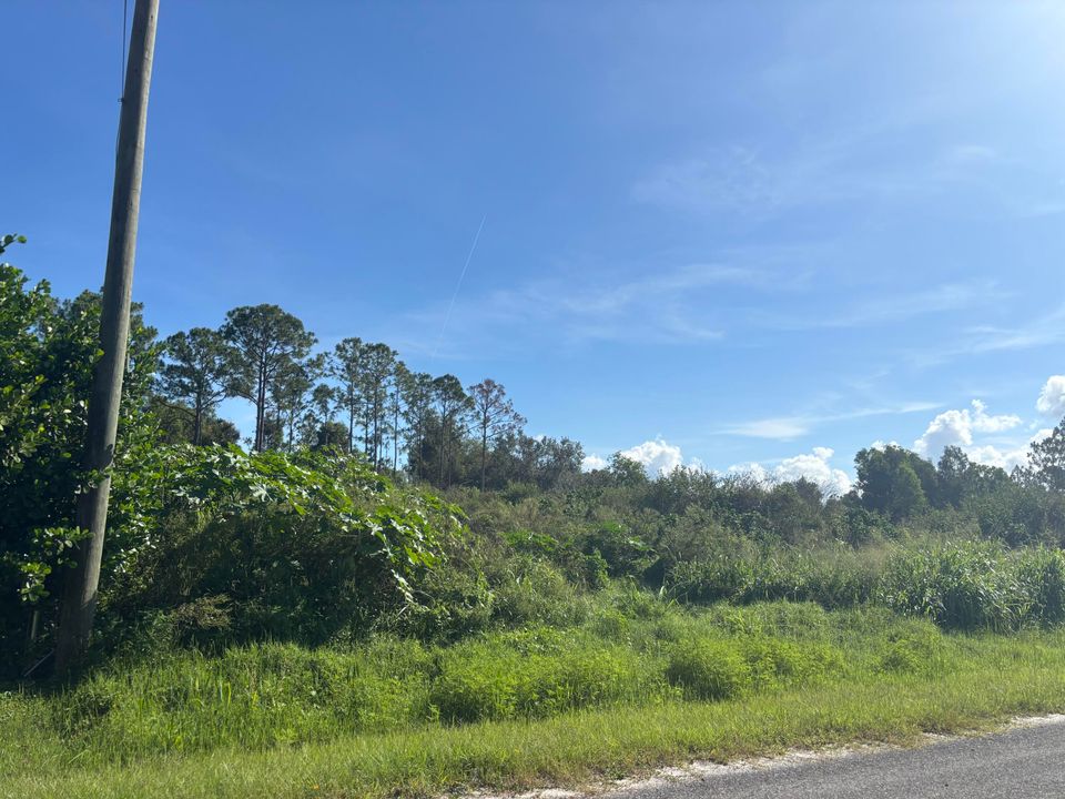 For Sale: $390,000 (0 beds, 0 baths, 0 Square Feet)