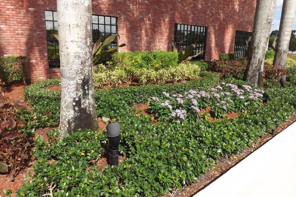 合同活跃: $2,700 (1 贝兹, 1 浴室, 738 平方英尺)