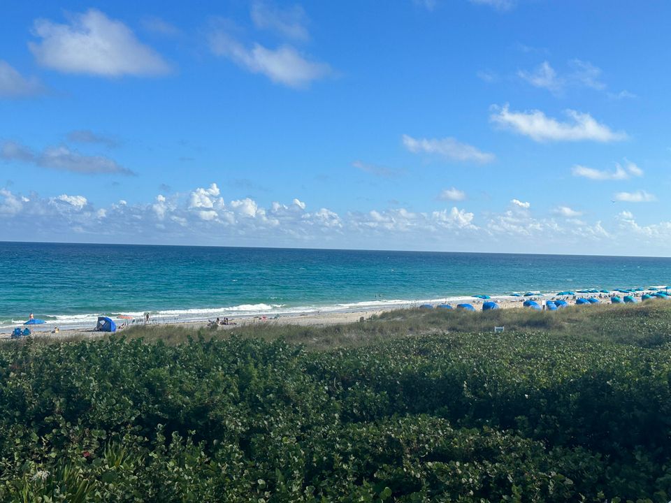 Activo con contrato: $5,200 (1 camas, 1 baños, 860 Pies cuadrados)