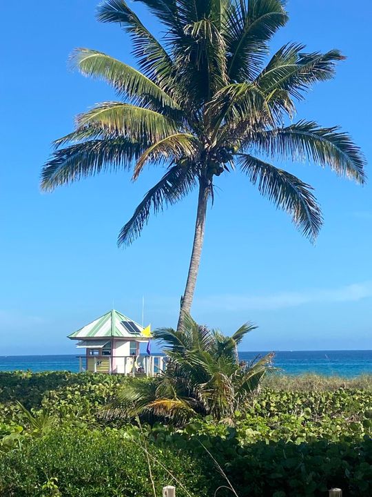 Activo con contrato: $5,200 (1 camas, 1 baños, 860 Pies cuadrados)