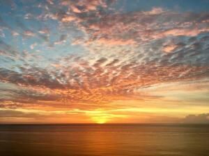 Active With Contract: $2,625 (2 beds, 2 baths, 1065 Square Feet)