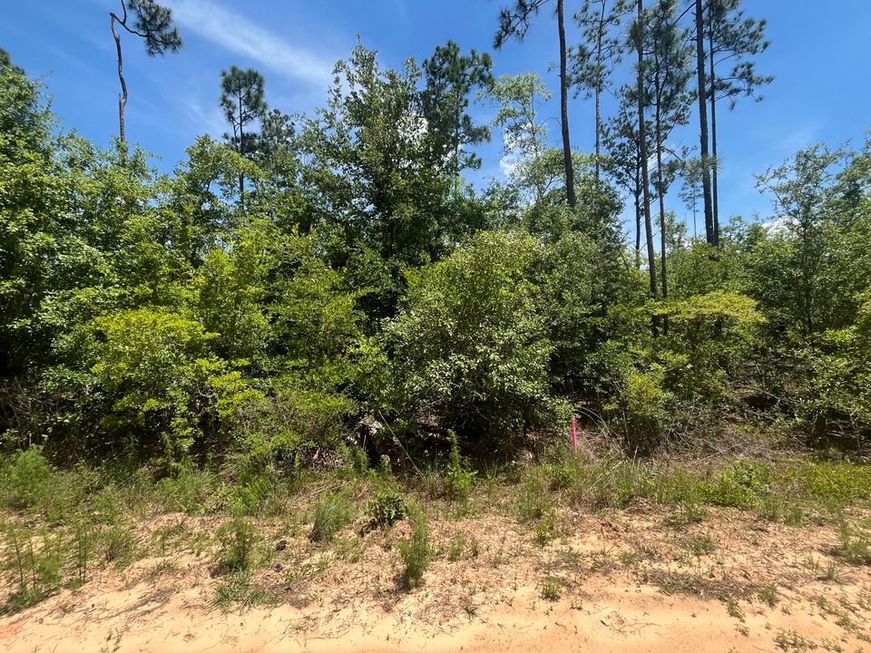 En Venta: $12,400 (0 camas, 0 baños, 0 Pies cuadrados)