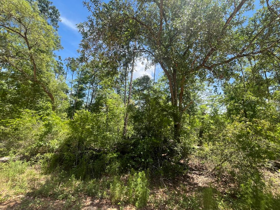 En Venta: $12,400 (0 camas, 0 baños, 0 Pies cuadrados)