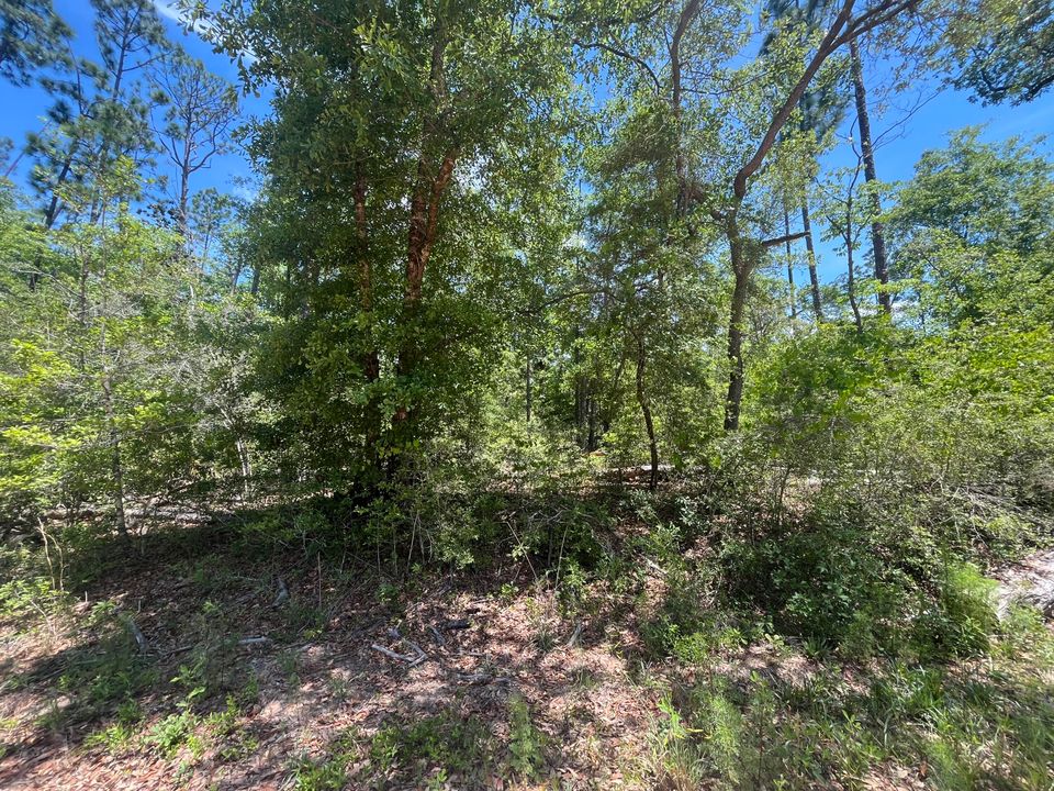 En Venta: $12,400 (0 camas, 0 baños, 0 Pies cuadrados)