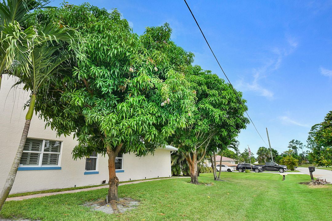 待售: $1,250,000 (4 贝兹, 2 浴室, 3037 平方英尺)