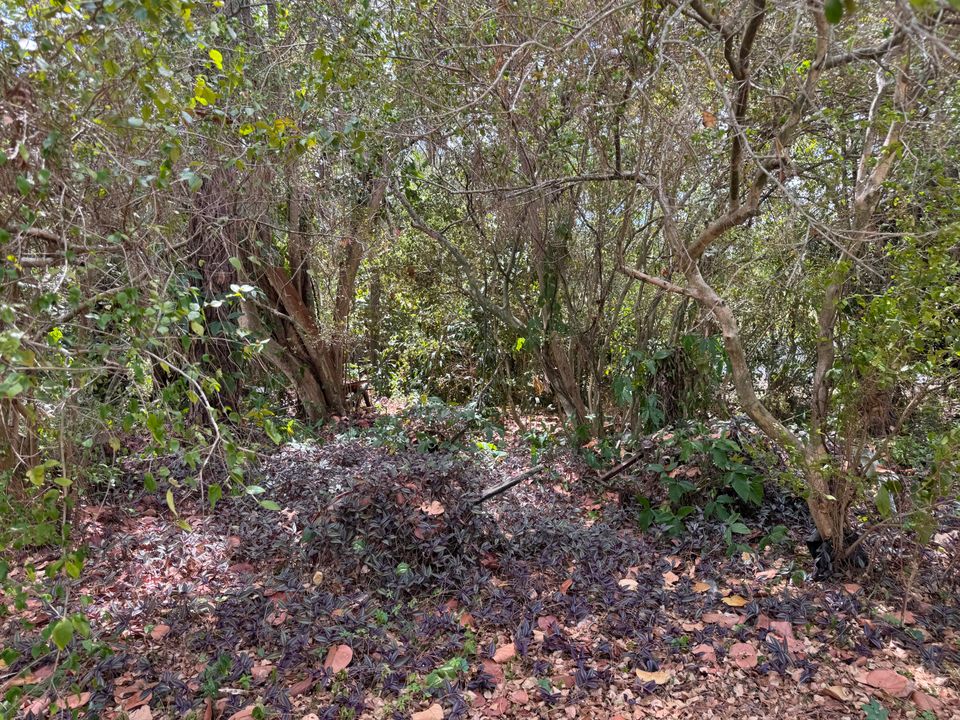 На продажу: $495,000 (0 спален, 0 ванн, 0 Квадратных фут)