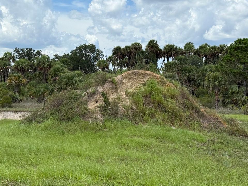 待售: $79,500 (0 贝兹, 0 浴室, 0 平方英尺)