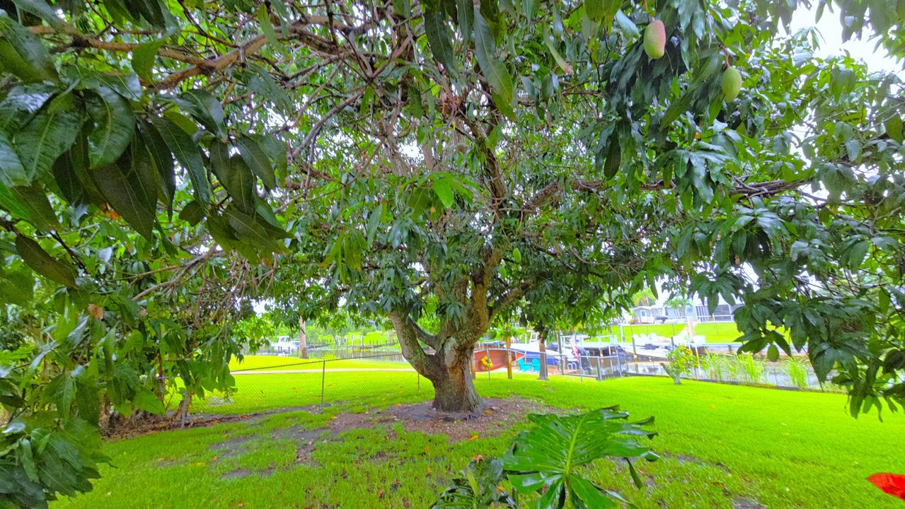 На продажу: $1,150,000 (6 спален, 5 ванн, 4099 Квадратных фут)