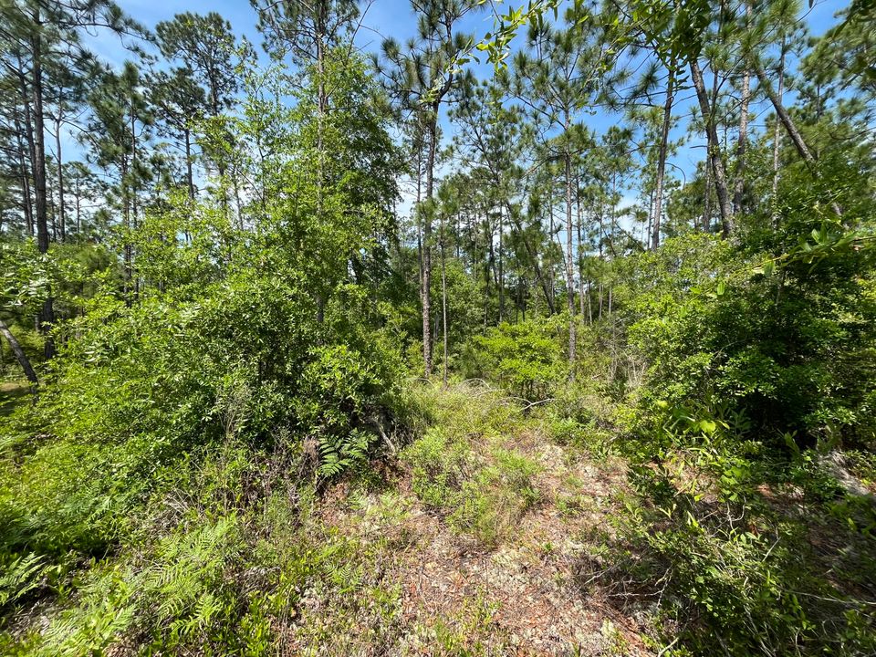 For Sale: $12,300 (0 beds, 0 baths, 0 Square Feet)