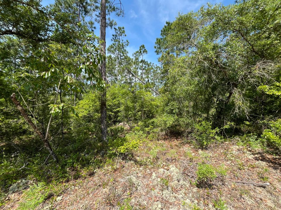 For Sale: $12,300 (0 beds, 0 baths, 0 Square Feet)