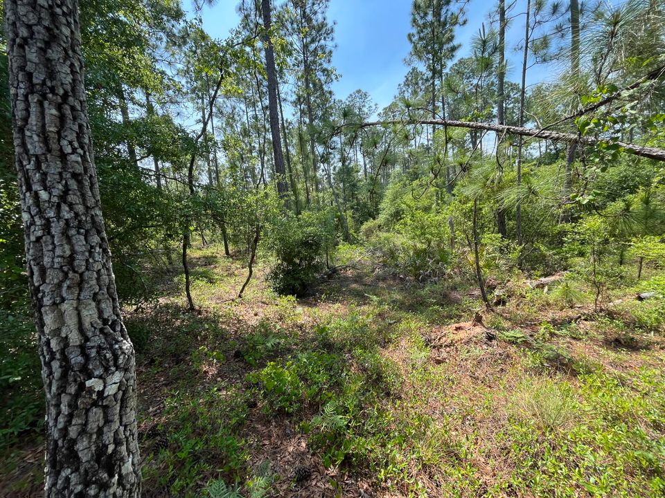 For Sale: $12,300 (0 beds, 0 baths, 0 Square Feet)