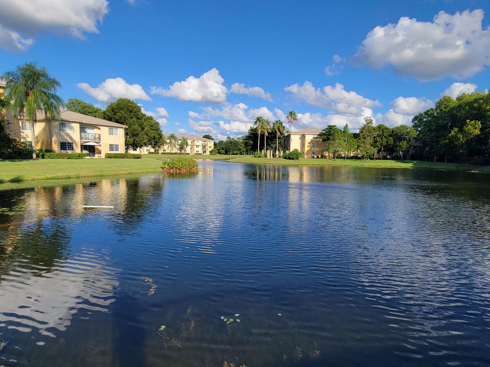 Activo con contrato: $2,600 (4 camas, 2 baños, 1401 Pies cuadrados)