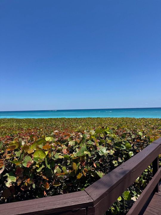 Active With Contract: $10,000 (3 beds, 2 baths, 2680 Square Feet)