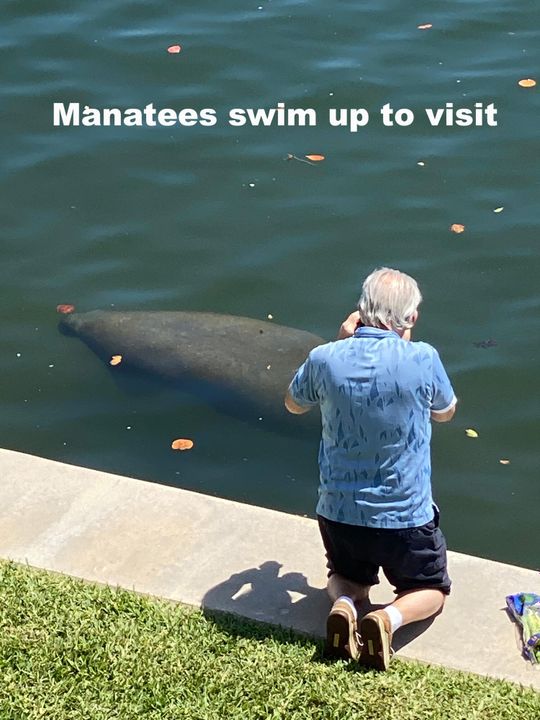 En Venta: $349,000 (2 camas, 2 baños, 1130 Pies cuadrados)