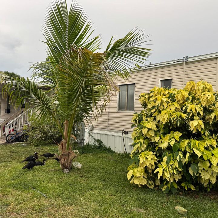 Active With Contract: $88,500 (3 beds, 2 baths, 1440 Square Feet)